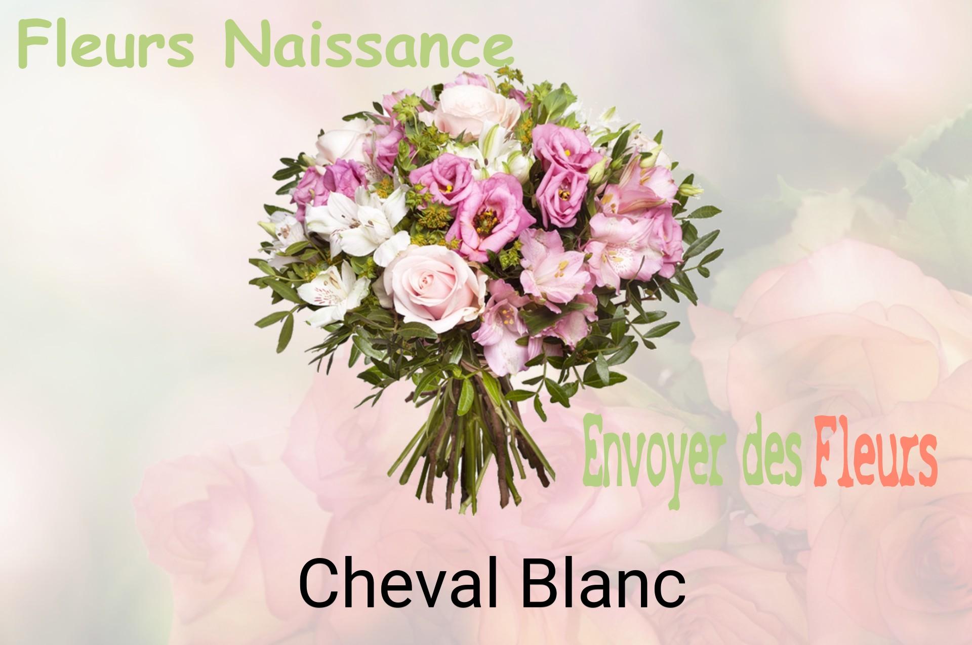 Bouquet de fleurs de naissance livré à Cheval-Blanc